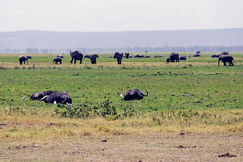 Kenia (179)